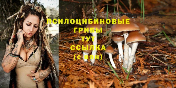 гашишное масло Аркадак