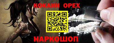 крисы Кингисепп