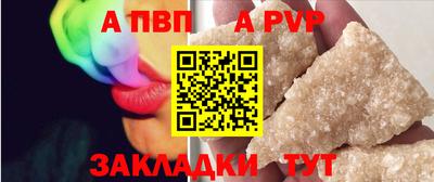 крисы Кингисепп