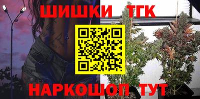 крисы Кингисепп