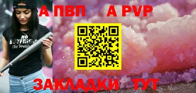 крисы Кингисепп