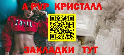 крисы Кингисепп
