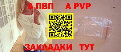 крисы Кингисепп