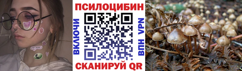 blacksprut онион  Сегежа  Галлюциногенные грибы MAGIC MUSHROOMS 