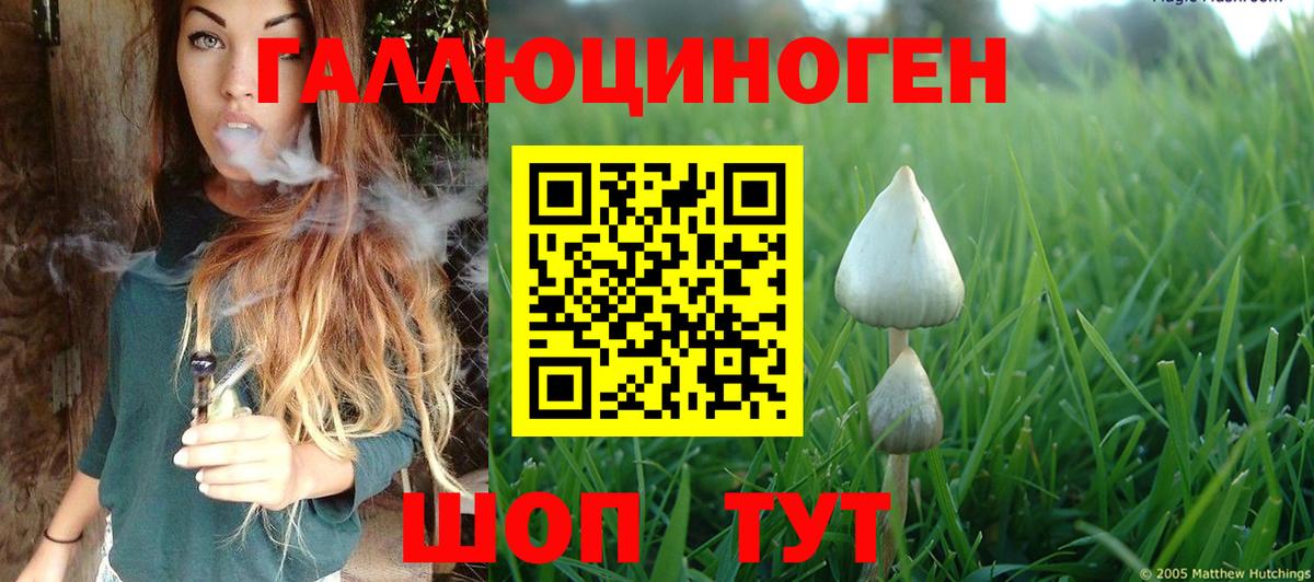 Псилоцибиновые грибы ЛСД  Вход с VPN  Сегежа 